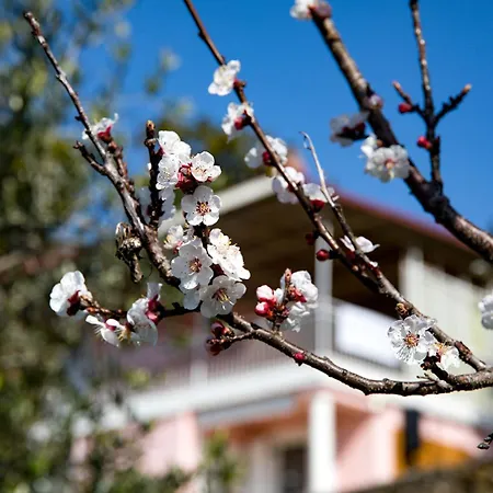 Apartmán Mila Portorož