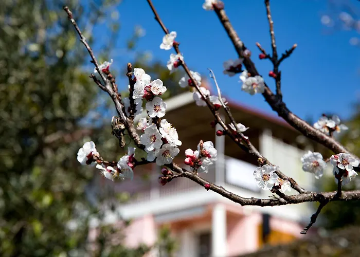 公寓 Mila 波尔托罗